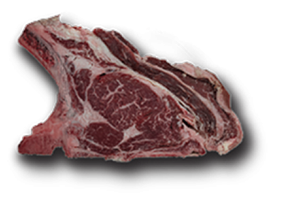 lombata sashi home 1