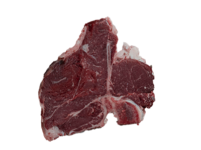 manzo masurie home 1