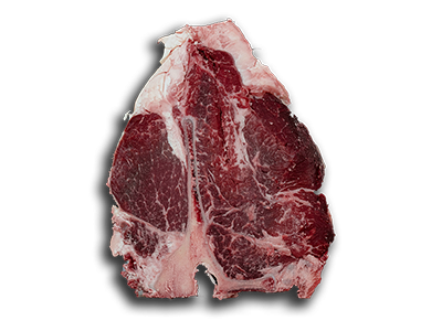 scottona polonia carne home 1